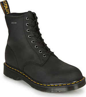 Dr Martens Kotníkové boty MOLLY GLITTER Černá