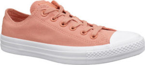 Converse Tenisky C. Taylor All Star 163307C ruznobarevne