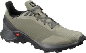 Salomon Běžecké / Krosové boty Alphacross Gtx Goretex ruznobarevne