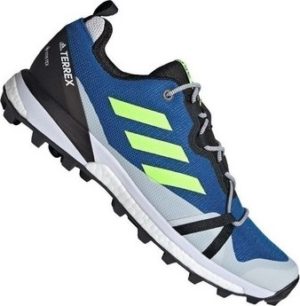 adidas Běžecké / Krosové boty Terrex Skychaser LT Gtx Modrá