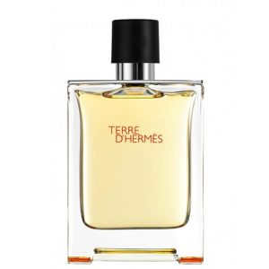 Hermes Terre D´Hermes - (TESTER) toaletní voda M Objem: 100 ml