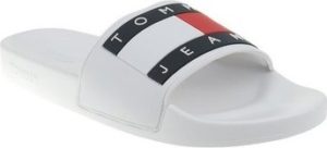 Tommy Hilfiger pantofle EN0EN00474100 ruznobarevne