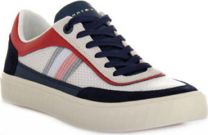 Tommy Hilfiger Tenisky DW5 CORPORATE LEA ruznobarevne