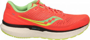 Saucony Fitness boty TRIUMPH 18 W Other