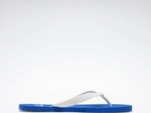 Reebok Sport Žabky Cash Flip-Flops Modrá